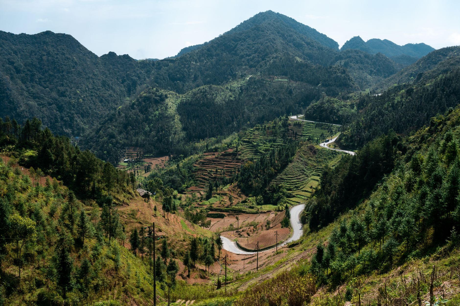 Cánh Đồng Lúa Chín Tả Van